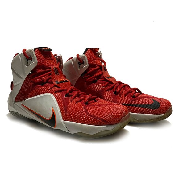 LeBron 12 'Heart Of A Lion' | ❤🦁 | (US Size 10) - Picture 3 of 3